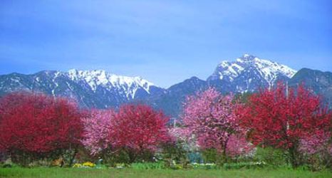 Others 2 Fuji-mi Highlands Petite Pension Jonathan