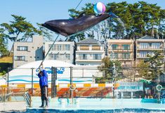 Others 7 Awara Onsen Minoya Taiheikaku