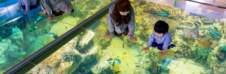 Others Awara Onsen Minoya Taiheikaku