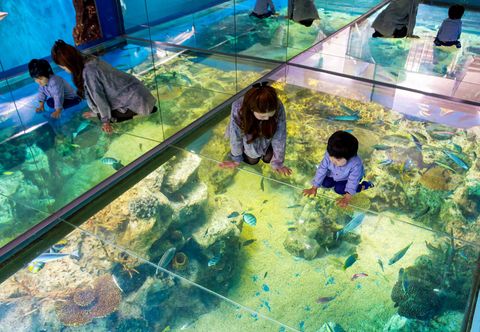 Others Awara Onsen Minoya Taiheikaku