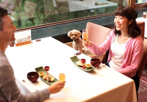 Others Takayama Wan Wan Paradise