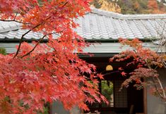Others 2 Togurakami Yamada Onsen Sasaya Hotel