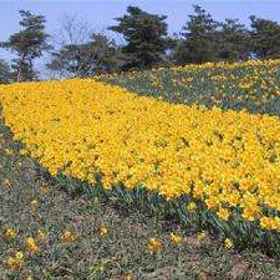 Hotel Crown Hills Katsuta Omotechoten 1, Hotel Mizuno Shrine