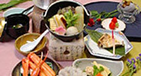 その他 2 Himi Kudenhama Onsen Himinohana