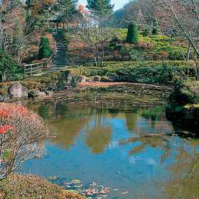 Taoya Akiu1 , 飯店黑川郡