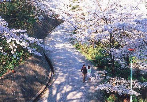 อื่นๆ Hotel Keifuku Fukui Ekimae