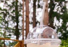 Others 5 Hakuba Inn Bloom