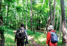 Others 4 Villa Forest