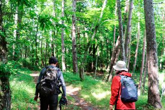 Others 4 Villa Forest