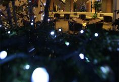 その他 3 Hotel Grand Vert Gizan