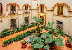 Others 6 Hotel Amalia Vaticano