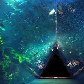 Creston Hotel Iwaki (BBH Hotel Group) 1, Hotel Spa Resort Hawaiians