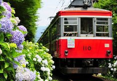 อื่นๆ 2 Sengokuhara Onsen Onsen Ryokan Mitake