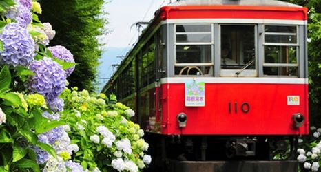 อื่นๆ 2 Sengokuhara Onsen Onsen Ryokan Mitake