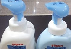 기타 2 Business & Family Tabijiya