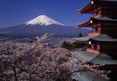 기타 4 Business & Family Tabijiya