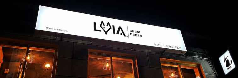 Others LVIA Guesthouse - Hostel