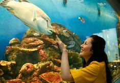 其他 6 Hiyoriyama Onsen Hotel Kinparo