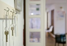 Others 3 Hideaway In The Forest Klingelbear