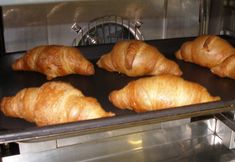 其他 2 Hotel Rabbit Watch