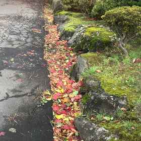 Itsukushien1 , 飯店黑川郡