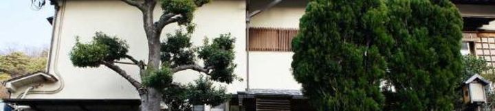 Others 3 Shinkanou Gourmet Ryokan