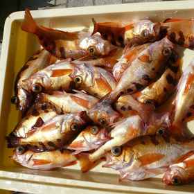 Iso No Yado Suzufuku 1, Hotel Shirahama Jinja Shrine