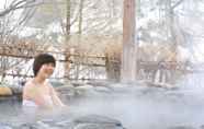 Lainnya 3 Echigonagano Onsen Myosenwaraku Rankeiso