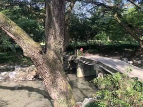 Others 4 Hangzhou Repos Manor