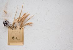 อื่นๆ 7 Tianzhai