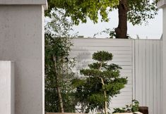 อื่นๆ 4 Tianzhai