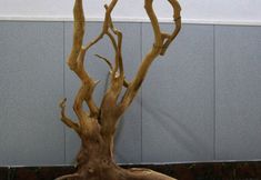 Others 7 Dunhuang Mobei Inn