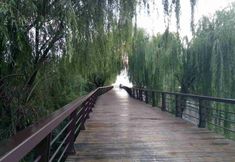 기타 5 Chengjiang Jinfu Hotel