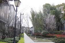 Others Slender West Lake in March Brings Modern Trend Homestay