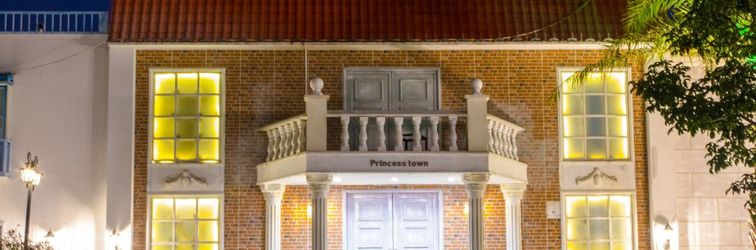 기타 Vcfani Princess