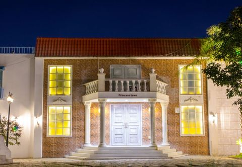 기타 Vcfani Princess