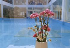 Others 7 Xianju a leaf lotus courtyard home stay