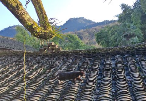 Lain-lain Satiya Zen Stay at Emei — Rooted in Art & Nature