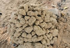 Others 4 Yuehai Xiaoyuan