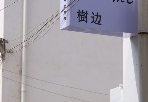 기타 Wuyuan Treeside Camphor House