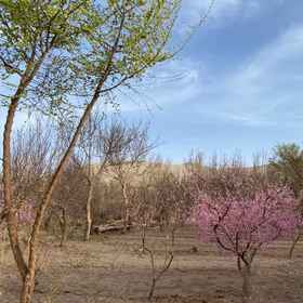 Hotel Exterior1Dunhuang Taoli Qin Yuan Inn,阿克塞哈萨克族自治县飯店