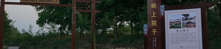 Others 2 Ridge on the yard