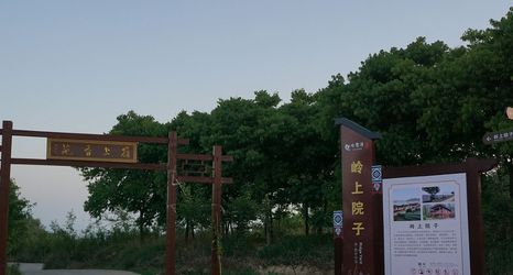 其他 2 Ridge on the yard