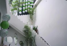 Khác 2 Nowhere Homestay