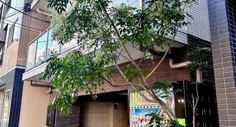 Others 2 louse stage ichiyu Asakusa #301