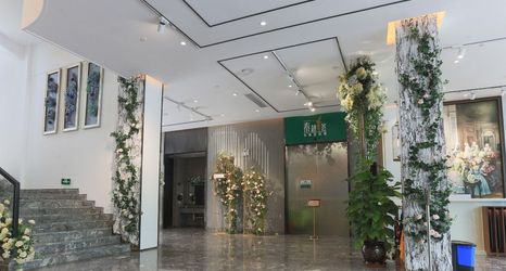 기타 2 Vcfani Princess