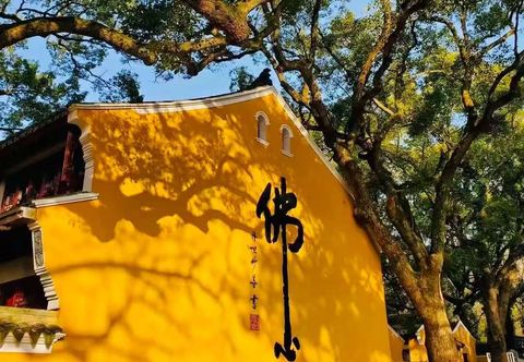 Others Putuo Mountain Fuyun Homestay