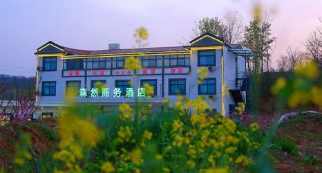 其他 2 Luoyang Senran Business Hotel