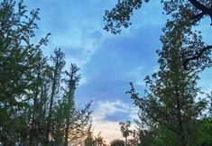 Lain-lain 6 Jinniu Hotel