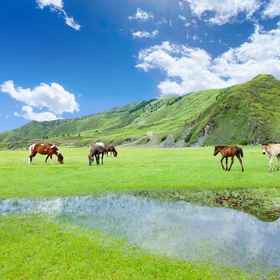 Hotel Exterior1Star Hui Hotel (Kangding Xindu Bridge shop,炉霍县飯店